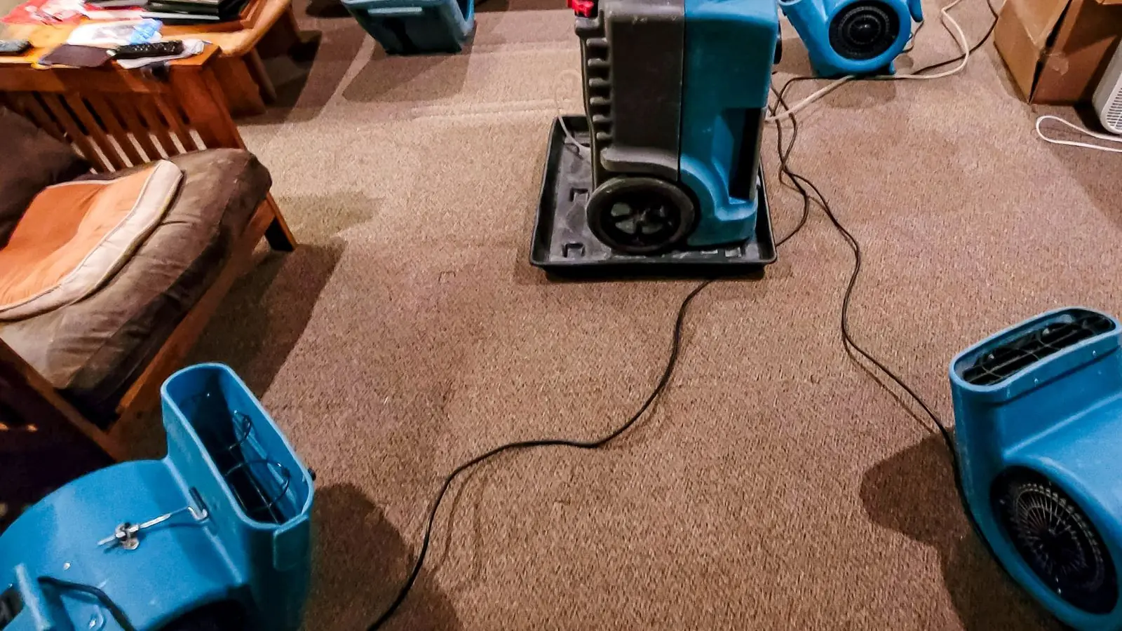 Air movers and a dehumidifier set up to dry wet carpet in a living room