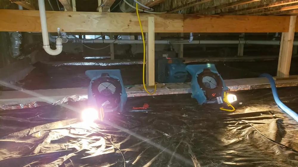 Air movers and plastic sheeting drying a crawl space under floor joists