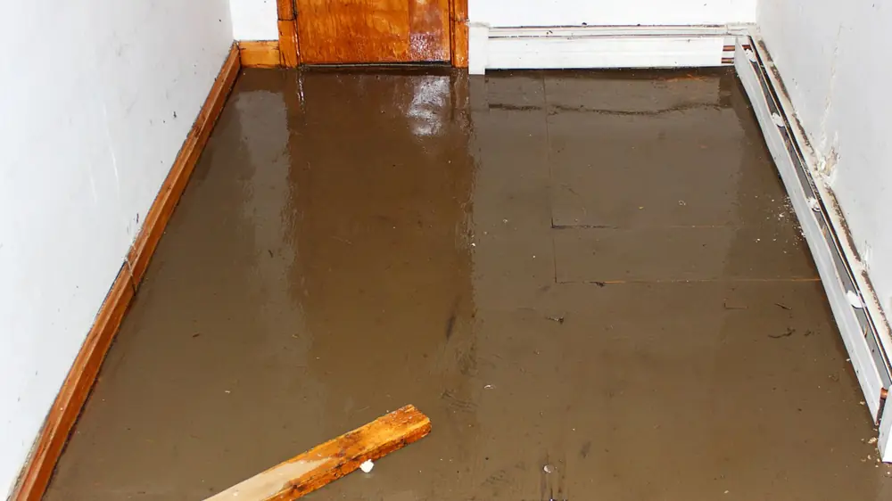 Flooded hallway floor with muddy water along the baseboards