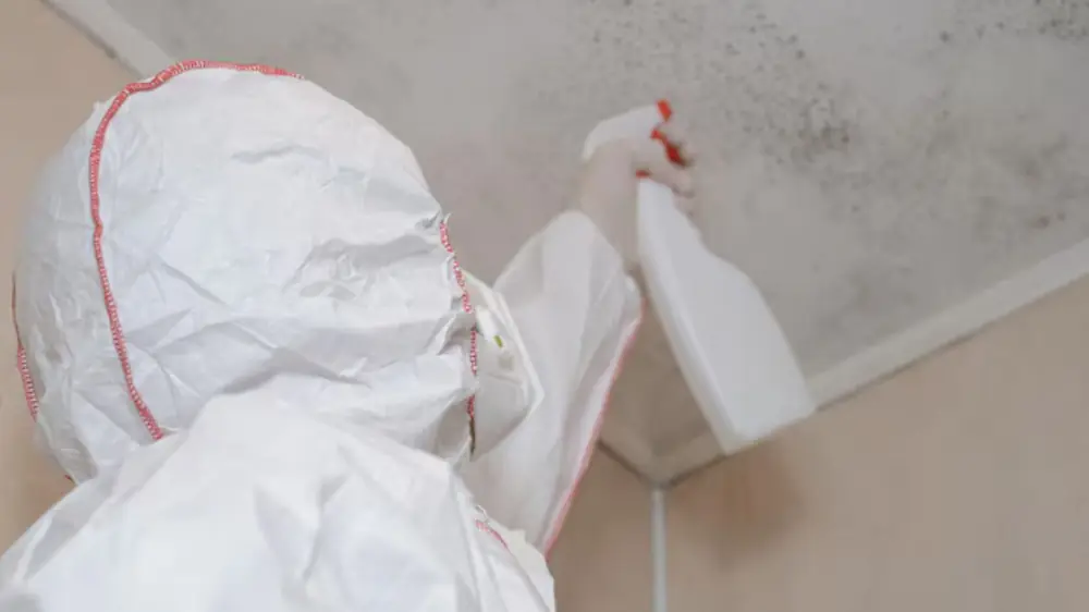 Worker in protective suit spraying a mold-stained ceiling corner