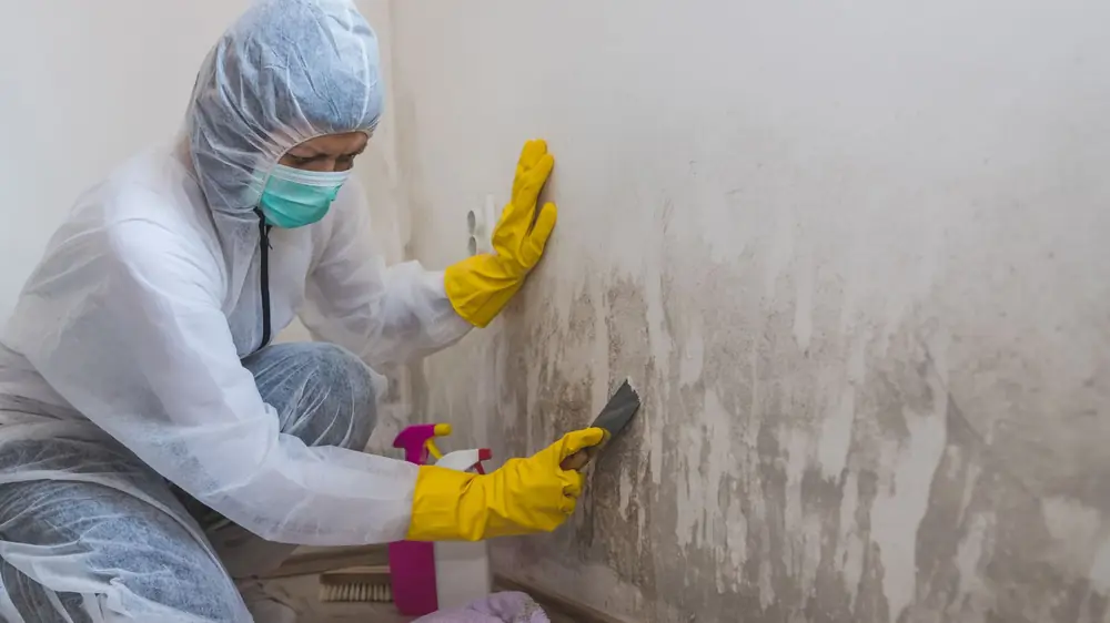Worker in protective gear kneeling to scrape mold from a wall corner