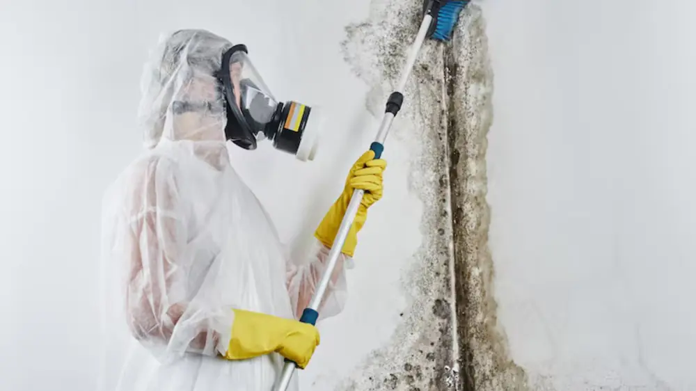 Worker in a respirator and protective suit treating a wall with a pole sprayer