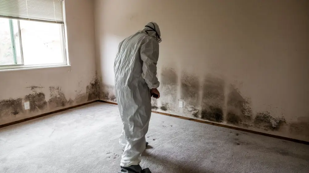Worker in a protective suit checking mold on the lower walls of an empty room