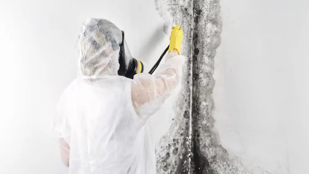 Worker in protective suit wiping a mold-stained wall corner