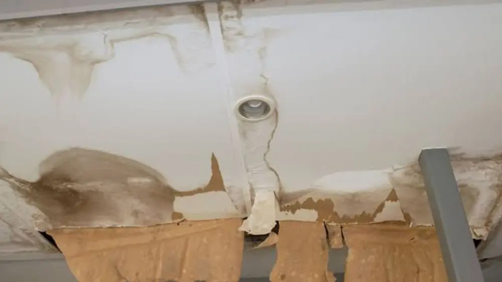 Water-stained ceiling with a fixture opening and damaged lining