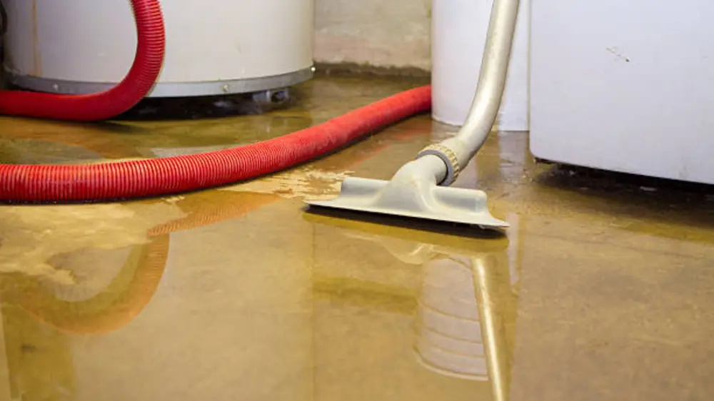 Wet vacuum nozzle extracting water from a floor