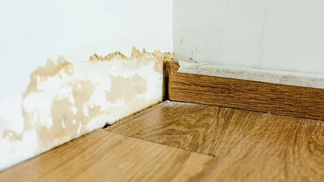 Water stain creeping up a wall above a baseboard and laminate floor