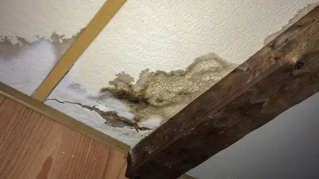 Water stain and damaged plaster on a ceiling beside a wooden beam
