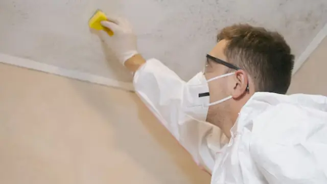 Worker in a mask wiping mold from a ceiling corner